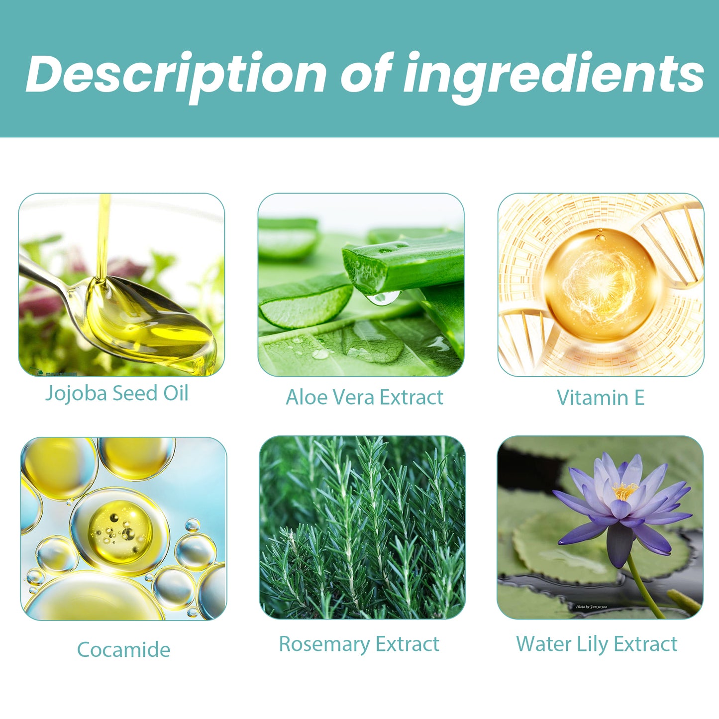 Shower Oil Body Cleansing